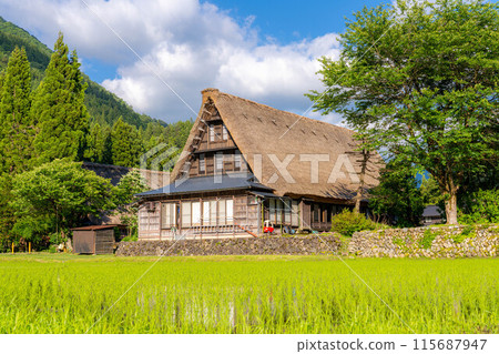 [世界遺產] 初夏的五簇山/菅沼合掌造村落[富山縣] 115687947