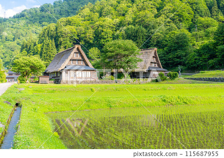 [世界遺產] 初夏的五簇山/菅沼合掌造村落[富山縣] 115687955