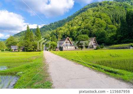 [世界遺產] 初夏的五簇山/菅沼合掌造村落[富山縣] 115687956