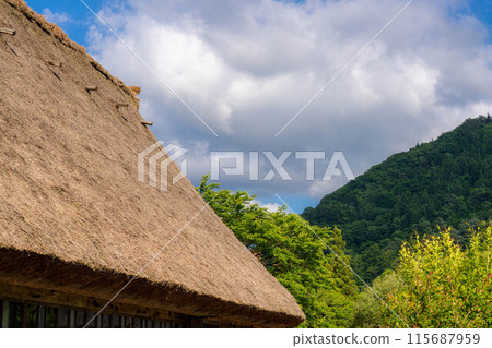[世界遺產] 初夏的五簇山/菅沼合掌造村落[富山縣] 115687959