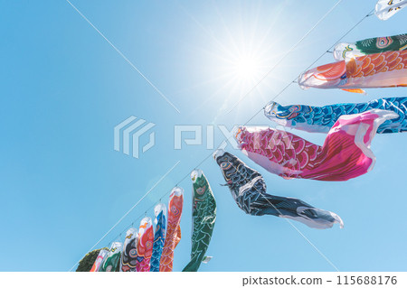 Koinobori flying in the blue sky Koinobori flying in the blue sky 115688176