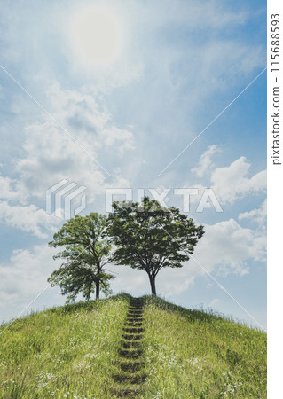 Stairs leading to two trees on a hill on a sunny day 115688593