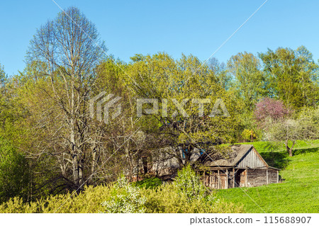 Rural Russian landscape photo taken on a summer day. Rural houses 115688907