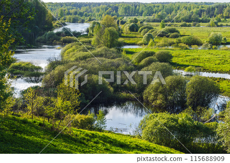 Rural Russian landscape photo with Sorot river 115688909