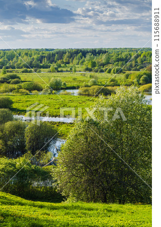Rural Russian landscape, vertical photo with Sorot river coasts 115688911