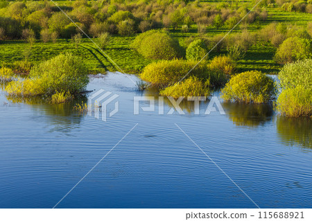 Sorot river coast, rural Russian landscape photo 115688921