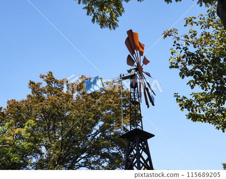 A hill park with a view of the port where roses bloom 115689205