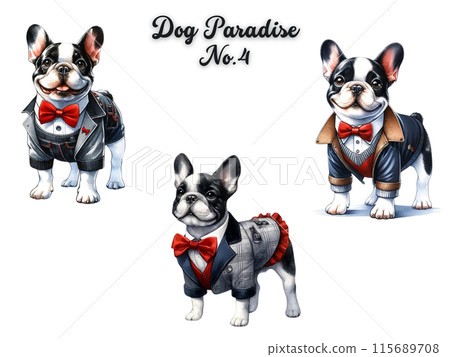 Dog Set 4 115689708