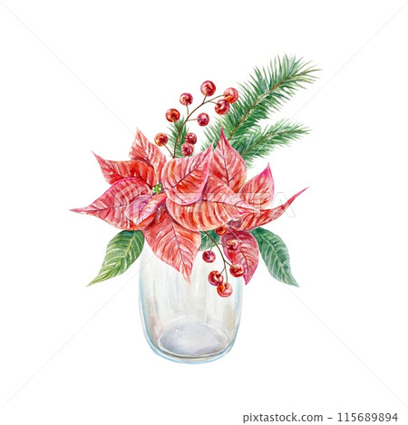 Poinsettia bouquet in a vase, fir branches, berries. Watercolor illustration isolated on white. Christmas and New Year cards, banners, posters, flyers Poinsettia bouquet in a vase, fir branches, berries. Watercolor illustration isolated on white. Christmas and New Year cards, banners, posters, flyers 115689894