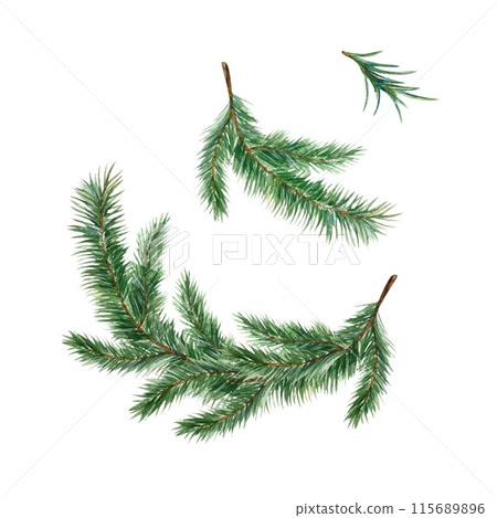 Christmas tree branches, needles. Watercolor illustration isolated on white. For Christmas and New Year greeting cards, invitations, banners, posters. 115689896