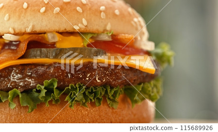 Delicious cheeseburger with cheese, lettuce, tomato, red onion and bun. Delicious cheeseburger with cheese, lettuce, tomato, red onion and bun. 115689926