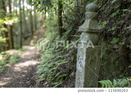 World Heritage Site: Stone Roads and Stones of the Sacred Sites and Pilgrimage Routes in the Kii Mountain Range 115690263