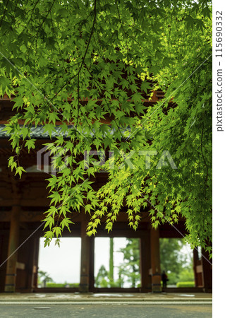 UNESCO World Heritage Site Mount Koya's giant gate and green foliage UNESCO World Heritage Site Mount Koya's giant gate and green foliage 115690332