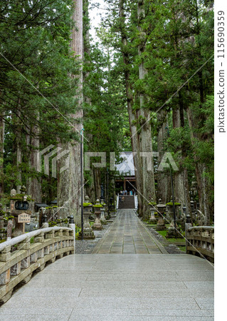 View of the tomb of Kobo Daishi from the bridge at the tomb of Okunoin, Mount Koya, a UNESCO World Heritage Site 115690359