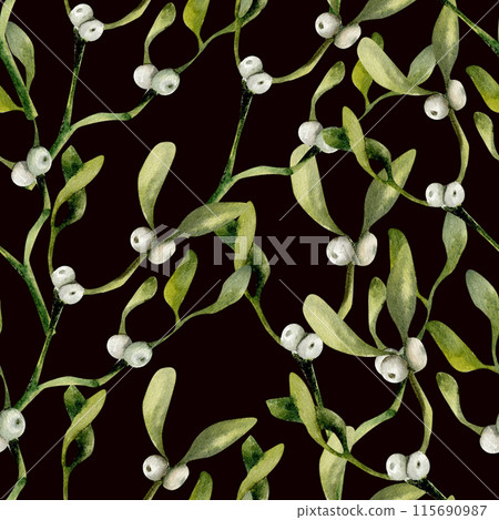 Christmas floral seamless pattern with green fresh omela branches on black. New year, winter season traditional background with flowers for wrapping paper, packing, stationery design.Wallpaper 115690987