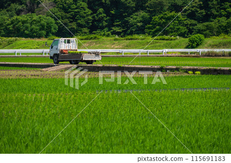 Rural scenery of Minowa Farmland: Farm vehicles parked in the countryside Rural scenery of Minowa Farmland: Farm vehicles parked in the countryside 115691183