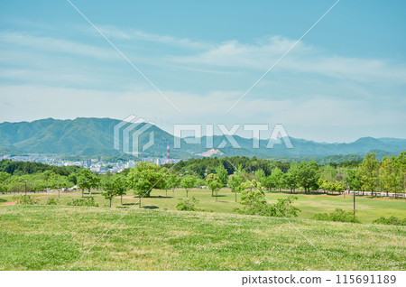 從青山、公園、天空、春天看 115691189