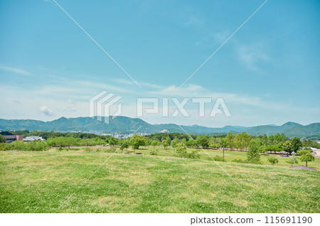View from the green hill, park, sky, spring 115691190