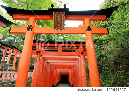Fushimi Inari Taisha Thousand Torii Gates of Kyoto Inari Shrine 115691527