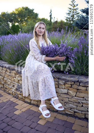 portrait of a young blonde woman in a pastel chiffon dress among lavender bushes portrait of a young blonde woman in a pastel chiffon dress among lavender bushes 115691579