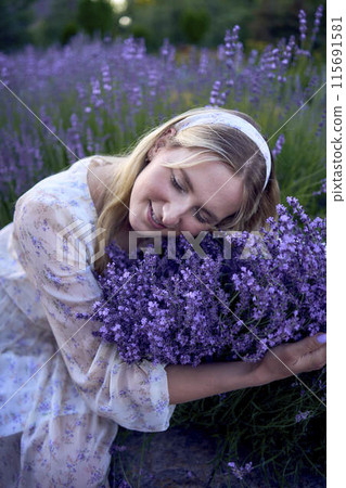 portrait of a young blonde woman in a pastel chiffon dress among lavender bushes portrait of a young blonde woman in a pastel chiffon dress among lavender bushes 115691581