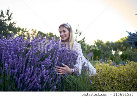 portrait of a young blonde woman in a pastel chiffon dress among lavender bushes portrait of a young blonde woman in a pastel chiffon dress among lavender bushes 115691585