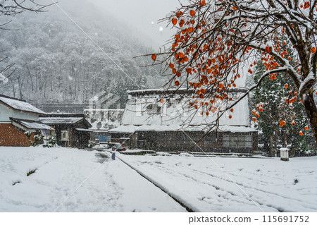 冬季世界遺產：富山、五簇山、菅沼有大雪 115691752