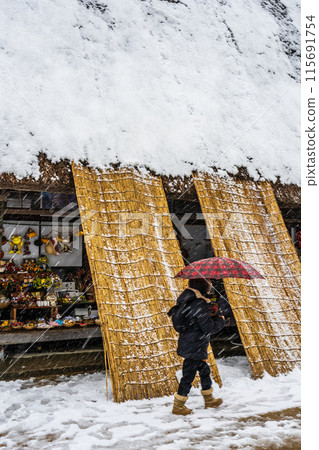 冬季世界遺產：富山、五簇山、菅沼有大雪 115691754