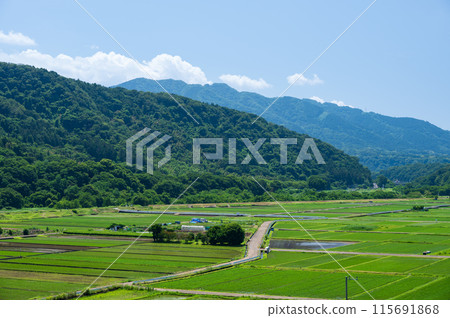 Rural scenery of the Minowa farmland, Aikawa Town Rural scenery of the Minowa farmland, Aikawa Town 115691868
