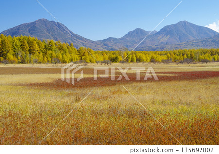Autumn in Oku-Nikko, Odashirogahara, Mt. Taro, Mt. Omanako, and Mt. Komanako 115692002