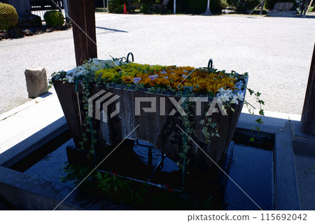 Saitama Prefecture, Flower Water Purification at Yakyu Inari Shrine Saitama Prefecture, Flower Water Purification at Yakyu Inari Shrine 115692042
