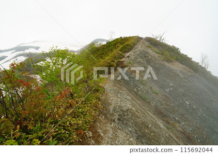 Mountain ridges covered in mist Mountain ridges covered in mist 115692044