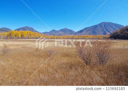 秋天的奧日光小田代原和男體山、太郎山、大馬名湖山、駒名湖山 秋天的奧日光小田代原和男體山、太郎山、大馬名湖山、駒名湖山 115692183