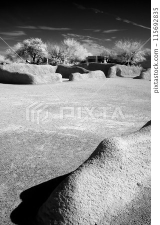 Casa Grande National Monument monochrome Casa Grande National Monument monochrome 115692835