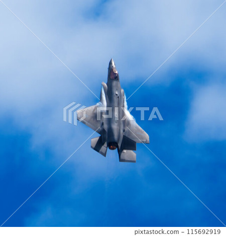 Maneuvering fighter jet F-35 Lightning 115692919