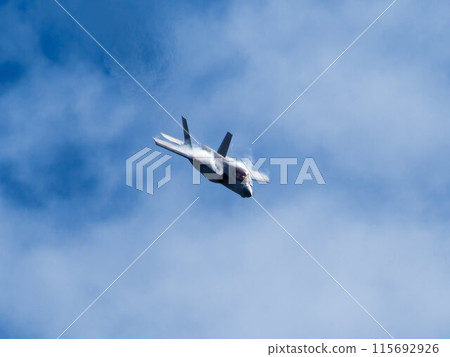 Maneuvering fighter jet F-35 Lightning 115692926