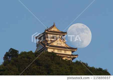 岐阜城堡和月亮 115693037