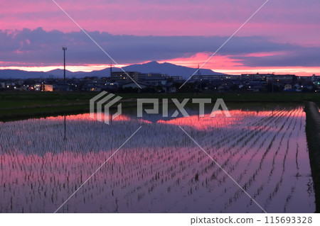 A sunset A sunset 115693328