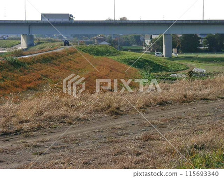 The current location of the dog run plaza (2010.11.27) was completed by piling up soil on the delta here. 115693340