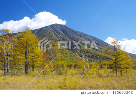 Senjogahara and Mt. Nantai in Oku-Nikko in autumn Senjogahara and Mt. Nantai in Oku-Nikko in autumn 115693348