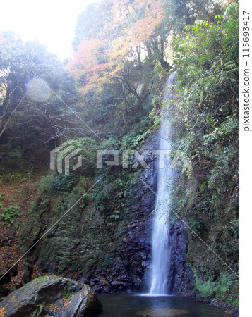 養老瀑布的秋天風景 115693417