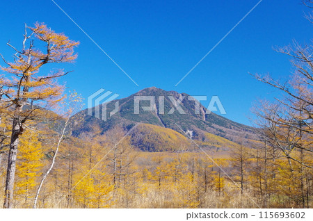 秋天的奧日光戰場原和太郎山 秋天的奧日光戰場原和太郎山 115693602