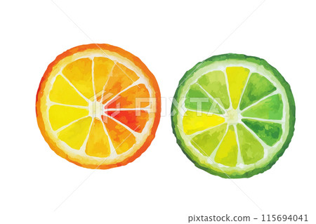 Watercolor illustration of orange and lime cross sections, cut out on white background Watercolor illustration of orange and lime cross sections, cut out on white background 115694041