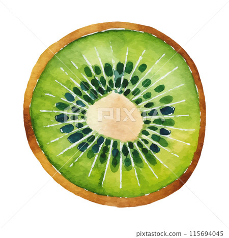 Watercolor illustration of a kiwi fruit cross section, cut out on white background 115694045