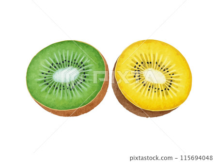 Watercolor illustration of a cross section of green kiwi fruit and gold kiwi fruit, cut out on white background 115694048