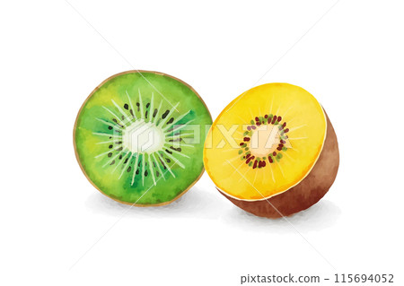 Watercolor illustration of a cross section of green kiwi fruit and gold kiwi fruit, cut out on white background Watercolor illustration of a cross section of green kiwi fruit and gold kiwi fruit, cut out on white background 115694052