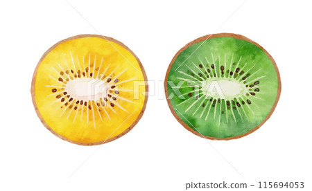 綠色奇異果和金色奇異果橫截面的水彩插圖，白色背景上的切口 115694053