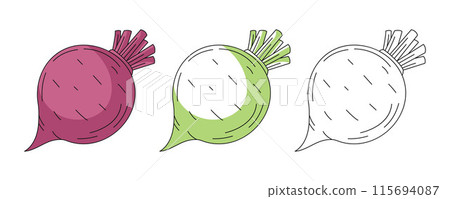 Beet or beetroot, colorful and line icons set. Farm vegetable vector outline icon, monochrome and color illustration. Healthy nutrition, organic food, vegetarian product. For logo, coloring book 115694087
