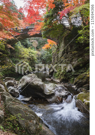 Walk through the Kawachi Valley in Kinshu Walk through the Kawachi Valley in Kinshu 115694366