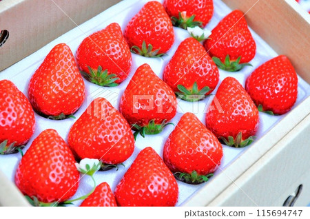 Strawberries for gifts 115694747
